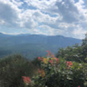 Meet your Posher, Steph